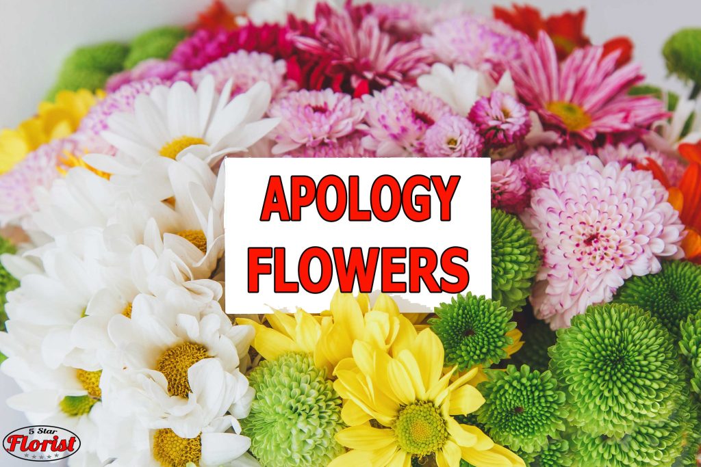 apology flowers Minneapolis