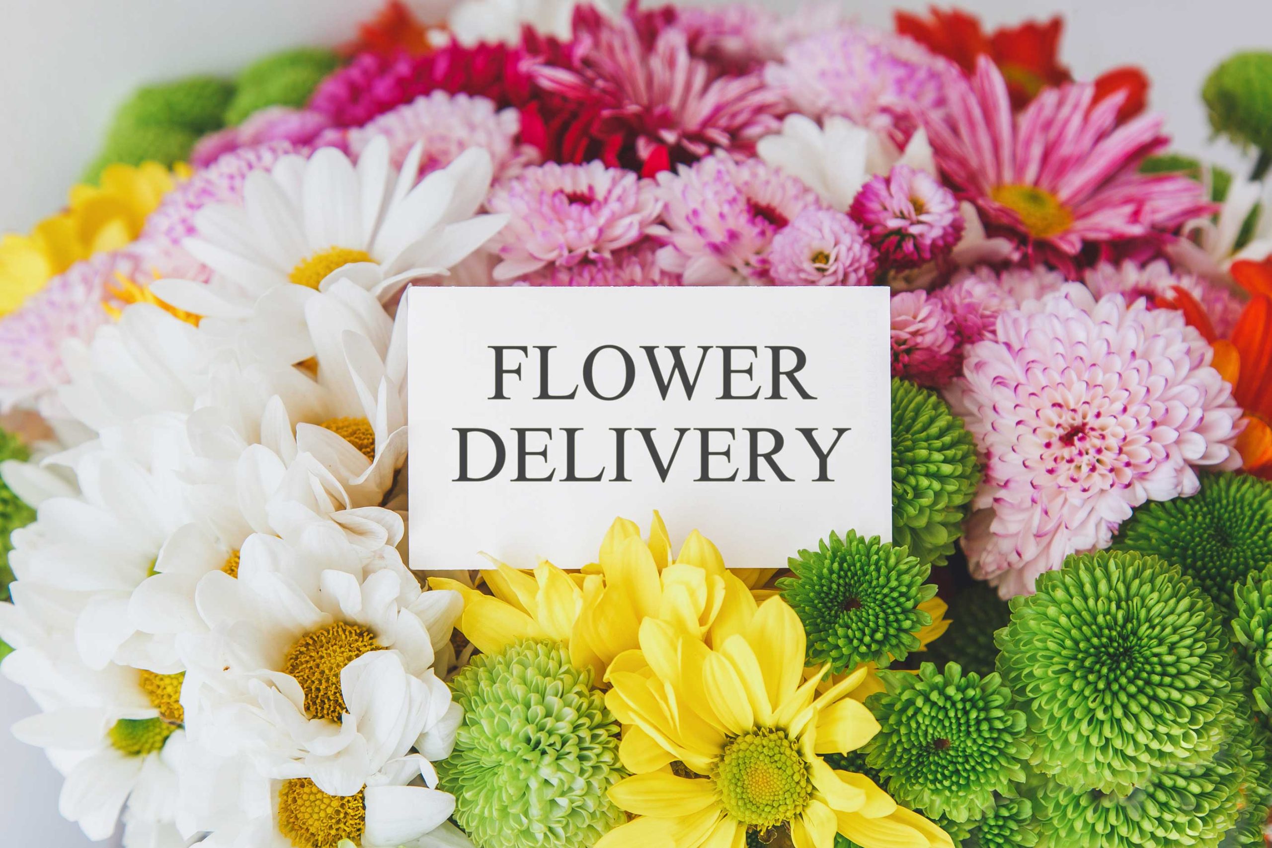 same-day-flower-delivery- Minneapolis